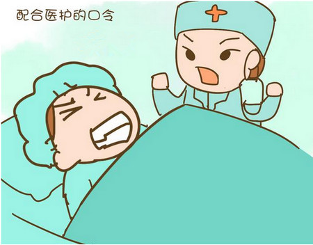 ǰʹ룡