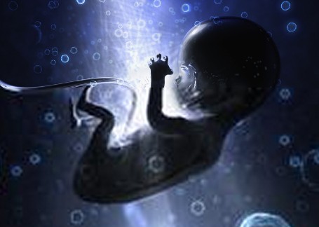 Ϊʲô̥ᷢھ