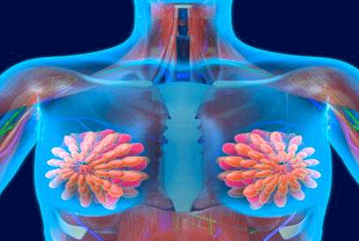 ����������Ħ����