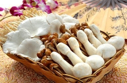 С���ӵֿ������ʲô��